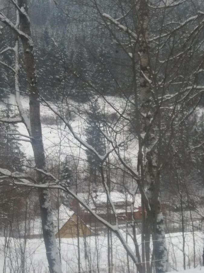 Hotel Ceska Farma Dolni Dvur Zewnętrze zdjęcie